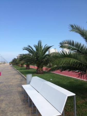 بلوار باتومی
