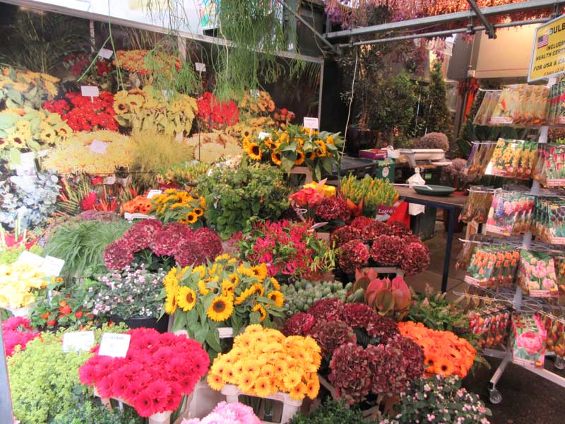بازار گل آمستردام