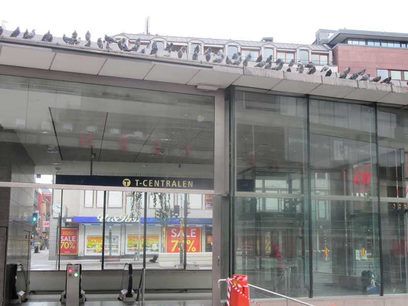 ایستگاه مترو T-CENTRALEN در کنار میدان سرگل استکهلم